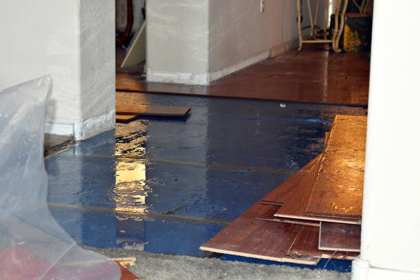 Professional Flood Damage Restoration technician working in Campobello, SC